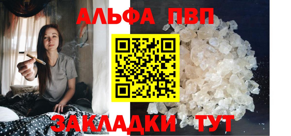 Alfa_PVP СК Ейск