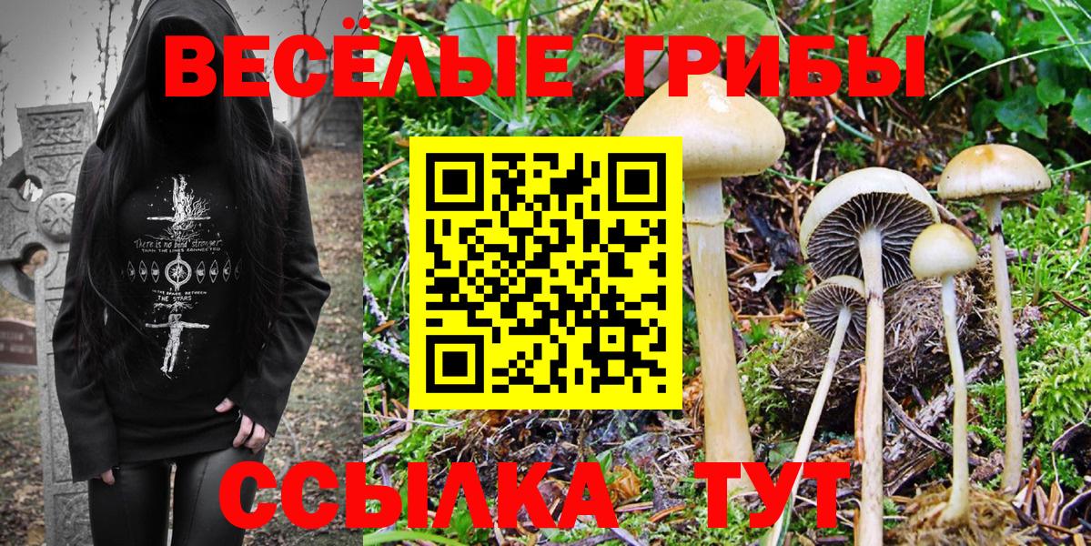 Псилоцибиновые грибы Magic Shrooms  Вход с VPN  Ейск 