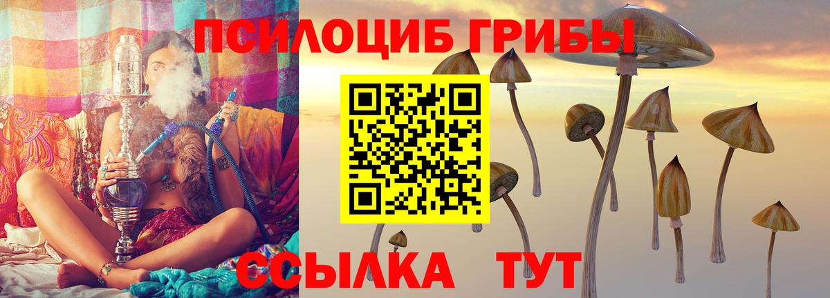 Псилоцибиновые грибы MAGIC MUSHROOMS Ейск